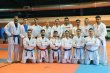 شانس کسب چهار مدال طلا برای تیم ملی کاراته 
