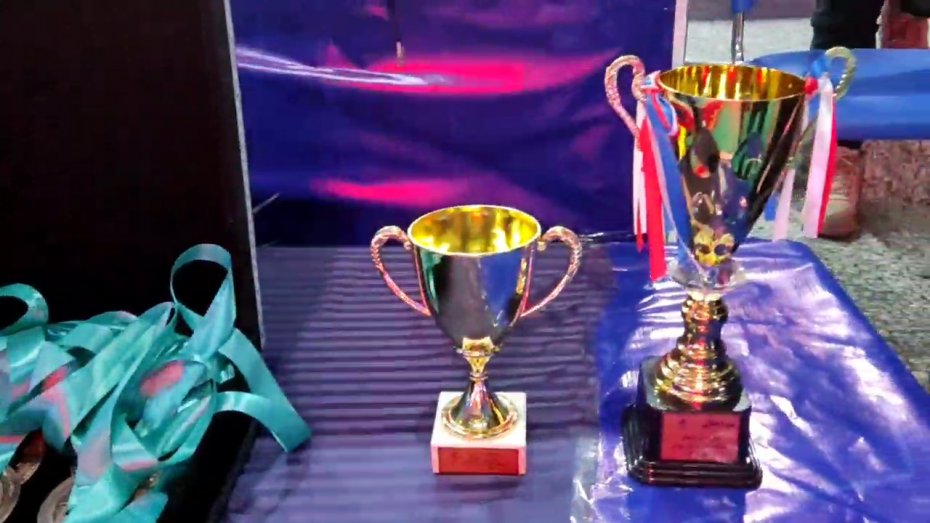 تصاویری از مدال و جام قهرمانی لیگ برتر والیبال