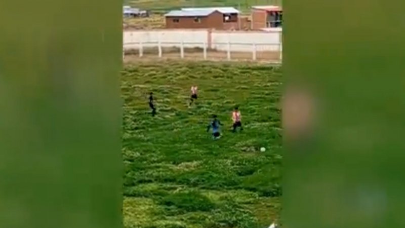 عجیب‌ترین زمین چمنی که تا به حال دیده‌اید!