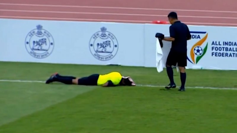 حمله‌ی زنبورها باعث از پای در آمدن داور شد!