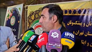 جوادی: چمن تختی هموار است مشکل از رنگ آن است