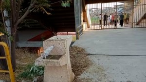 لیگ برتر در این ورزشگاه برگزار می‌شود!