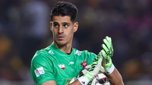 نظر پیام نیازمند در مورد کاشته باکیچ