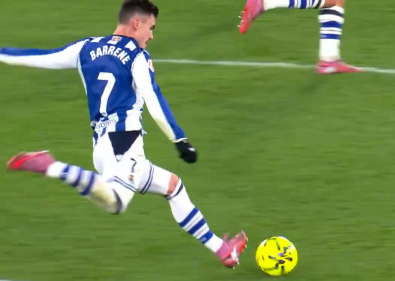 موشک بالستیک؟ گل استثنایی بارنتزا از وسط زمین