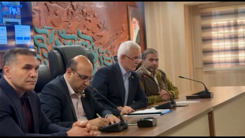 وجیهه نقوی سرپرست فدراسیون ژیمناستیک شد