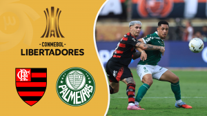 خلاصه بازی پالمیراس 0 - فلامینگو 1 