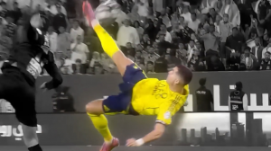 غیر ممکن ترین گل های سال!