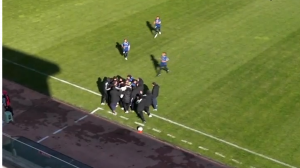 گل تماشایی و زیرطاقی زهرا سربالی