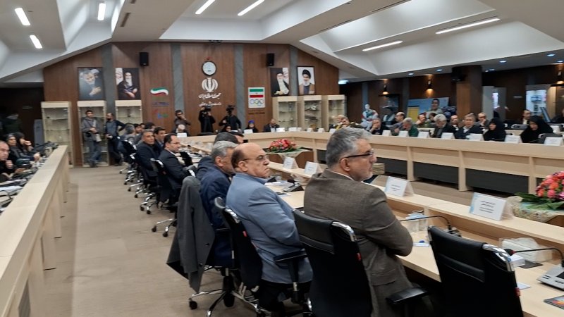 تصاویری از برگزاری ۲۵ امین مجمع پارالمپیک