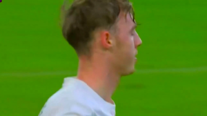 گل دوم چلسی به ولورهمپتون توسط پالمر 