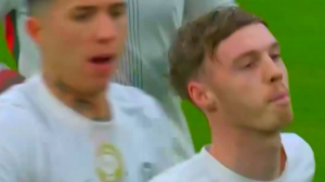 گل اول چلسی به ولورهمپتون توسط پالمر 