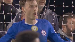 بُهت، کمترین واژه برای پالمر