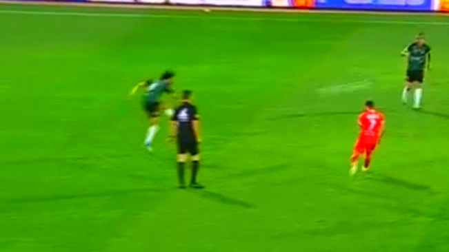 نیازمند، مانع از گل زیبای یوسفی شد