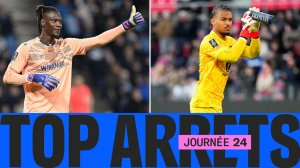 سیوهای برتر هفته 24 لیگ یک فرانسه