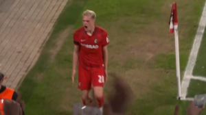 گل سوم فرایبورگ به سلتاویگو توسط ماتیاس گینتر