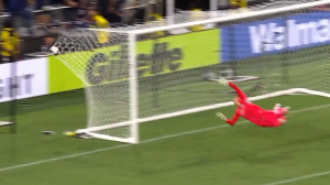 هربار که تور دروازه تا مرز پاره شد رفت