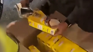 کشف مواد مخدر در اتوبوس تیم سائوپائولو!